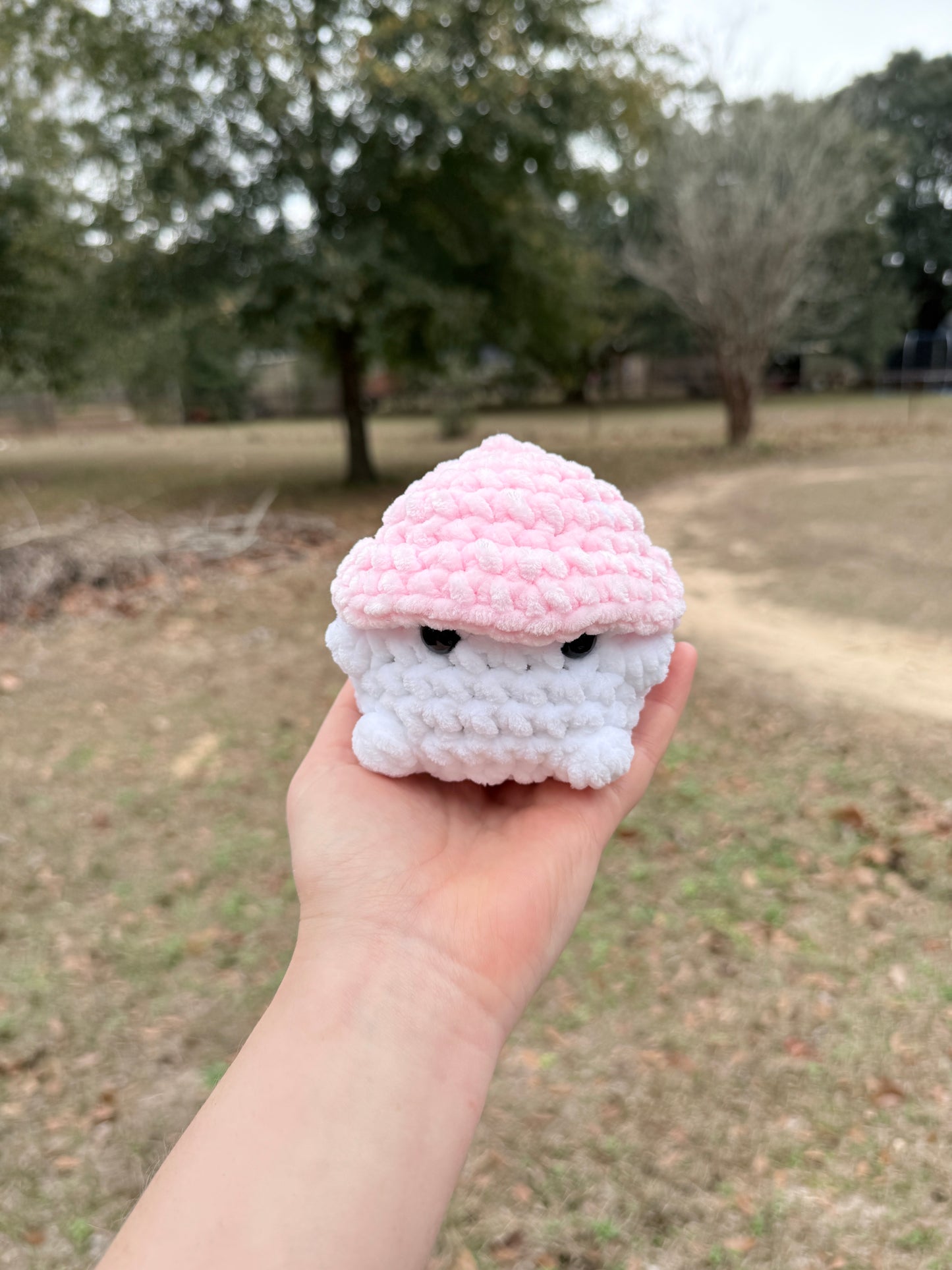 Mushroom Boi