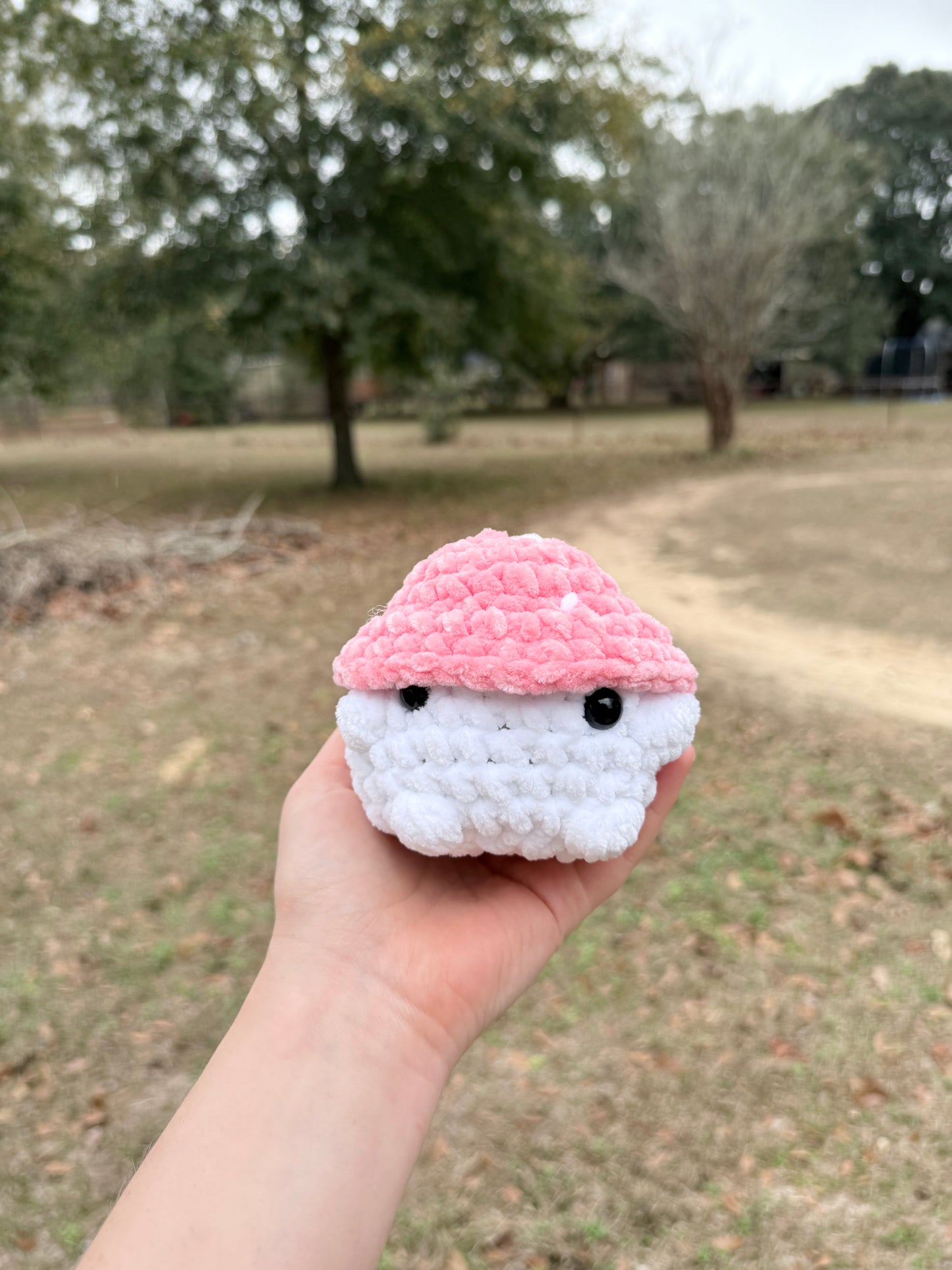 Mushroom Boi