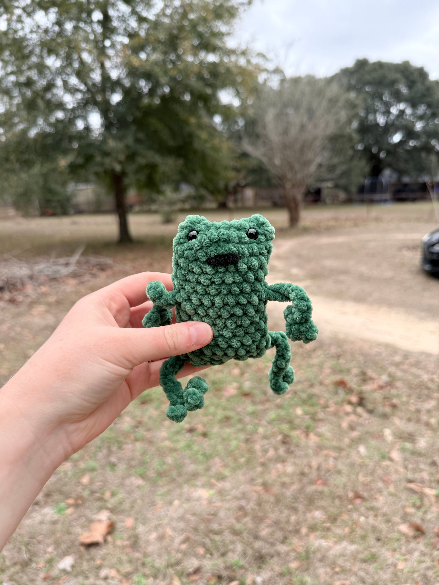 Leggy Frog