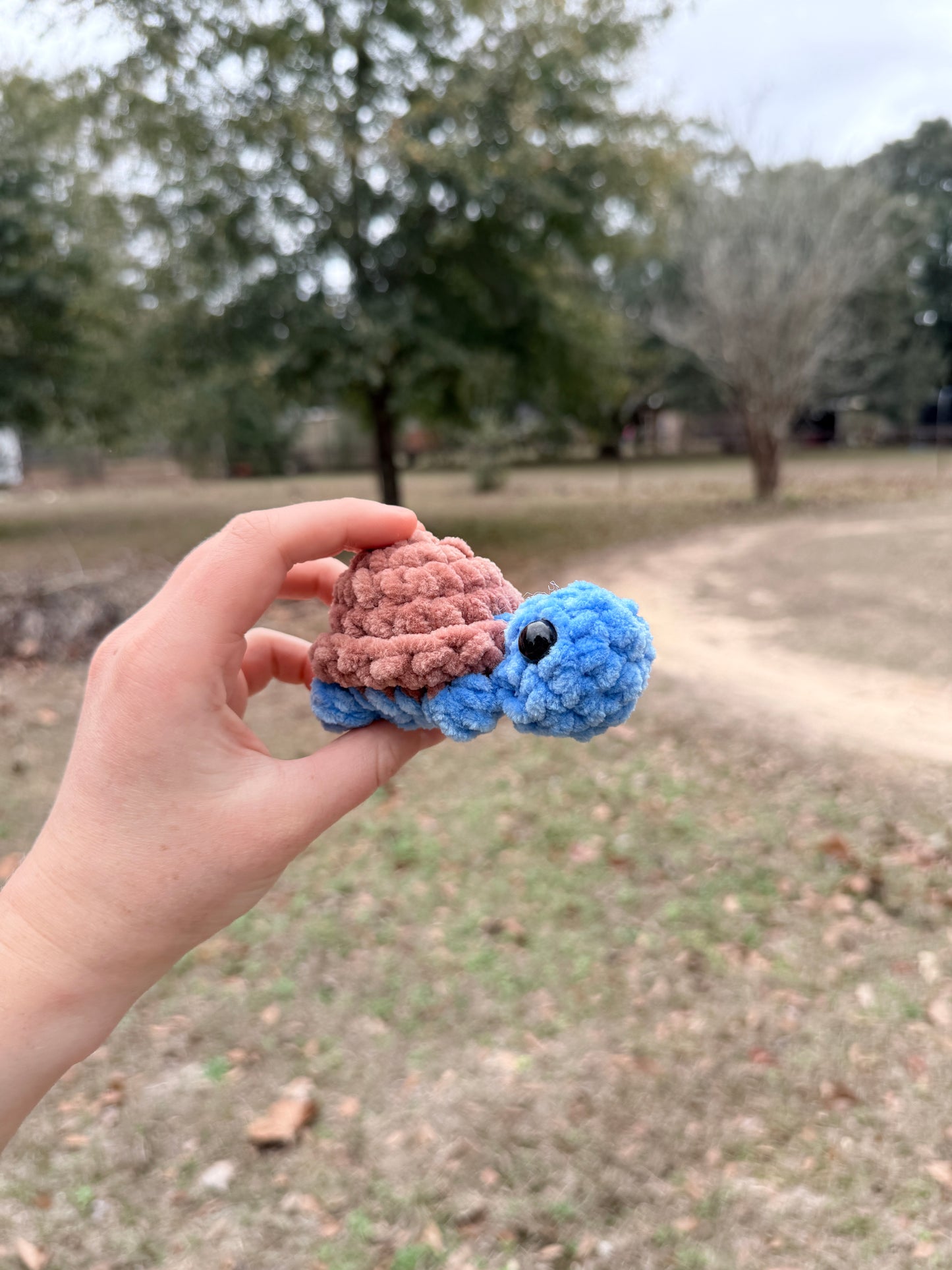 Mini Turtle