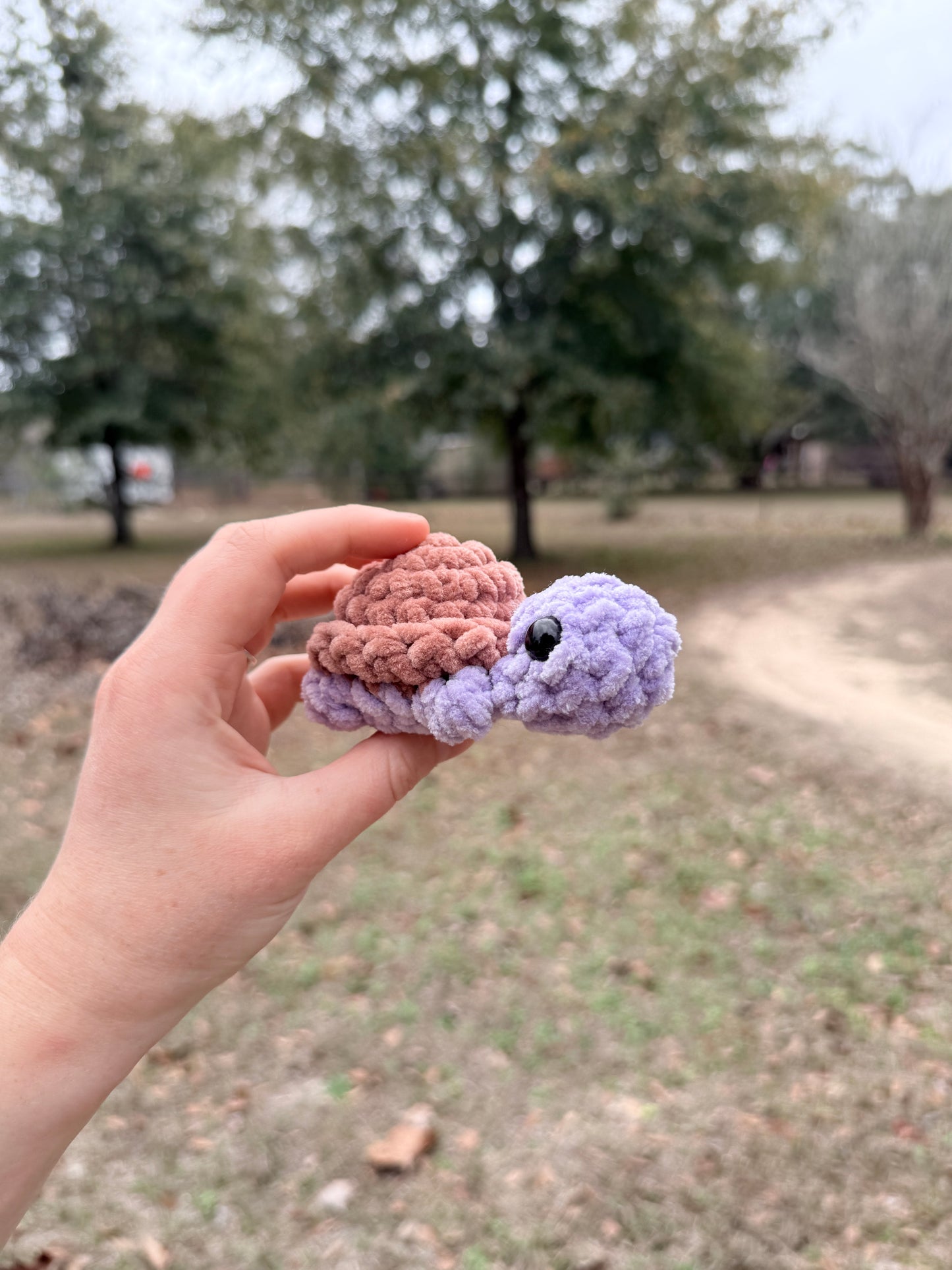 Mini Turtle