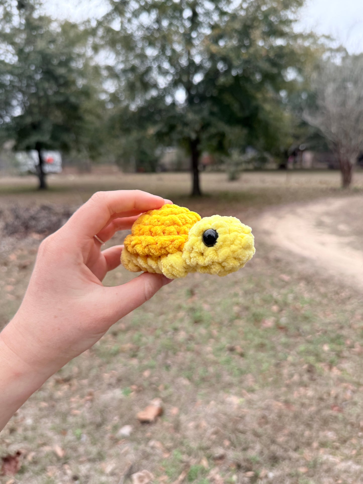 Mini Turtle