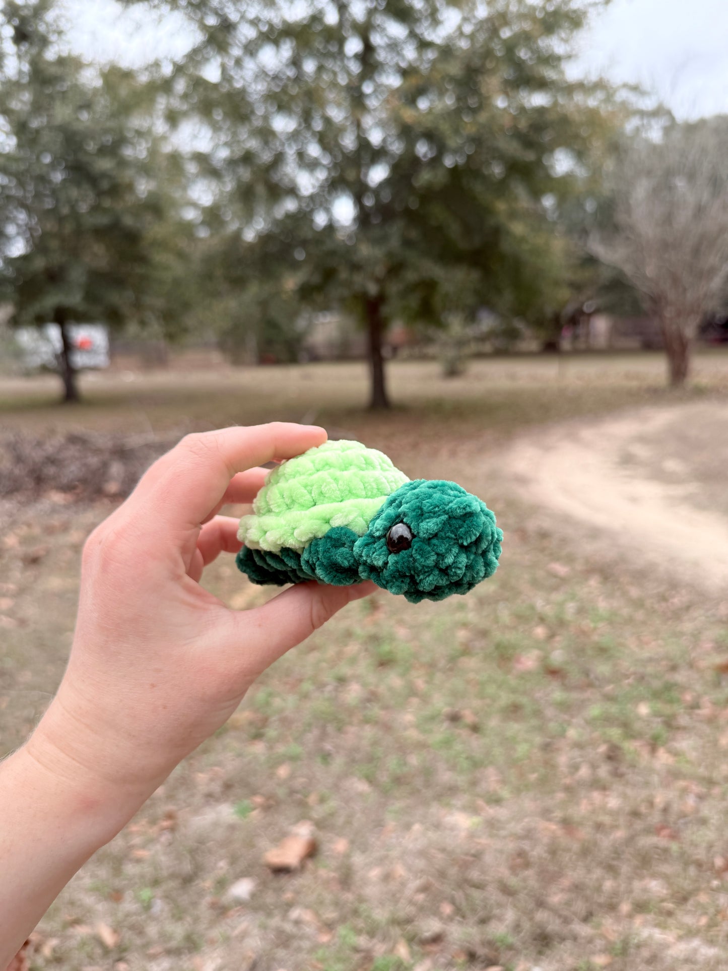 Mini Turtle