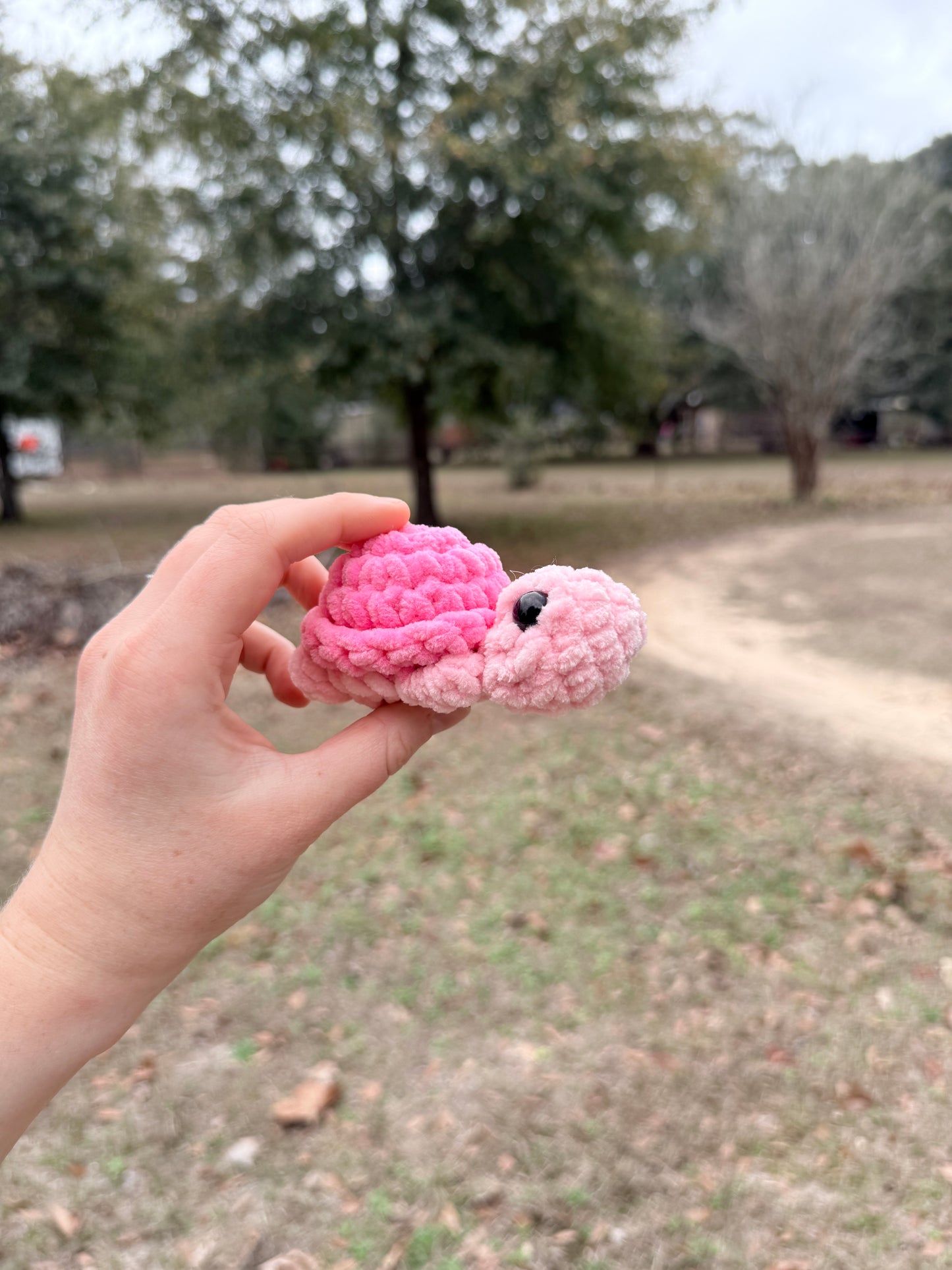 Mini Turtle