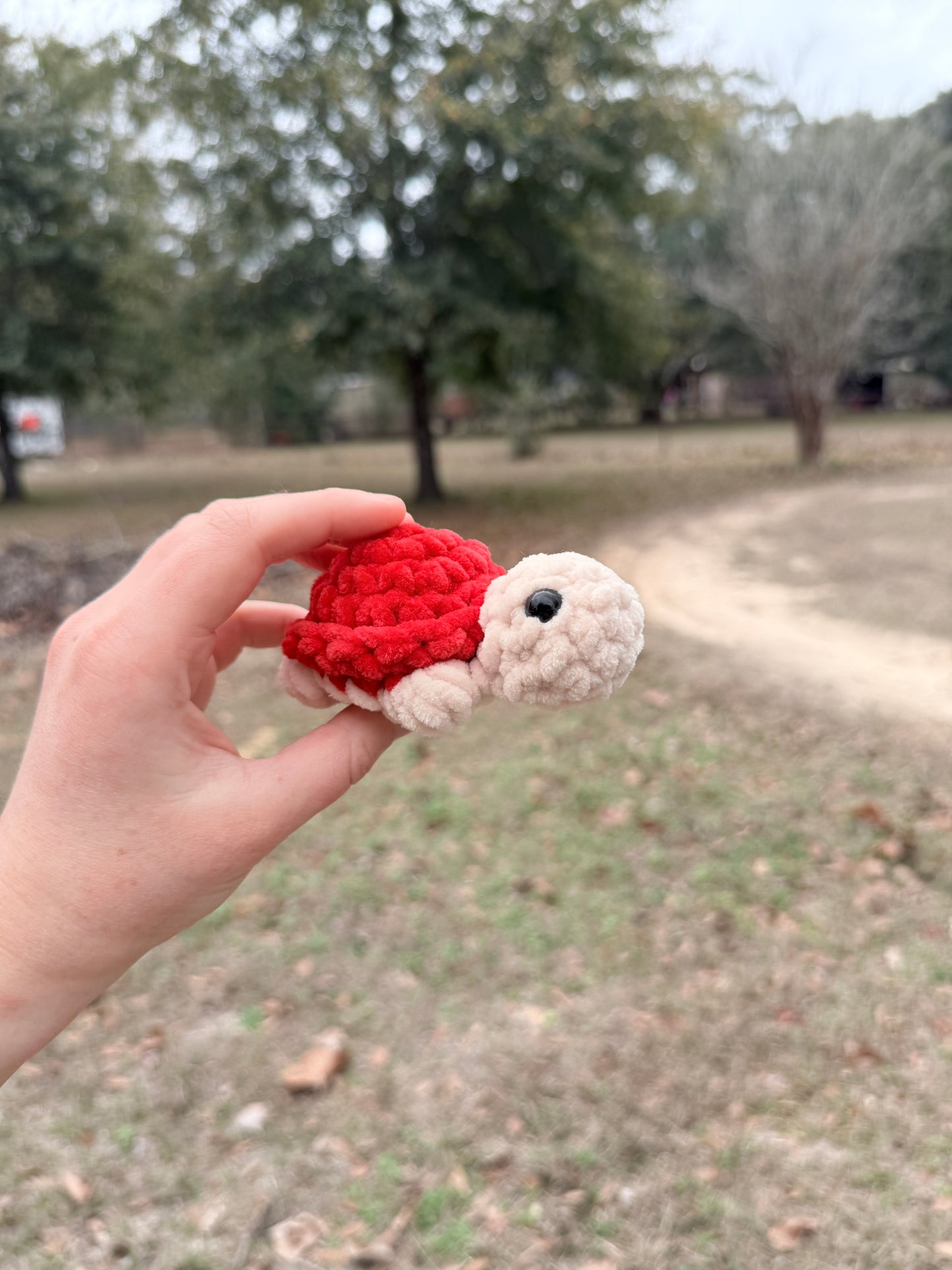 Mini Turtle