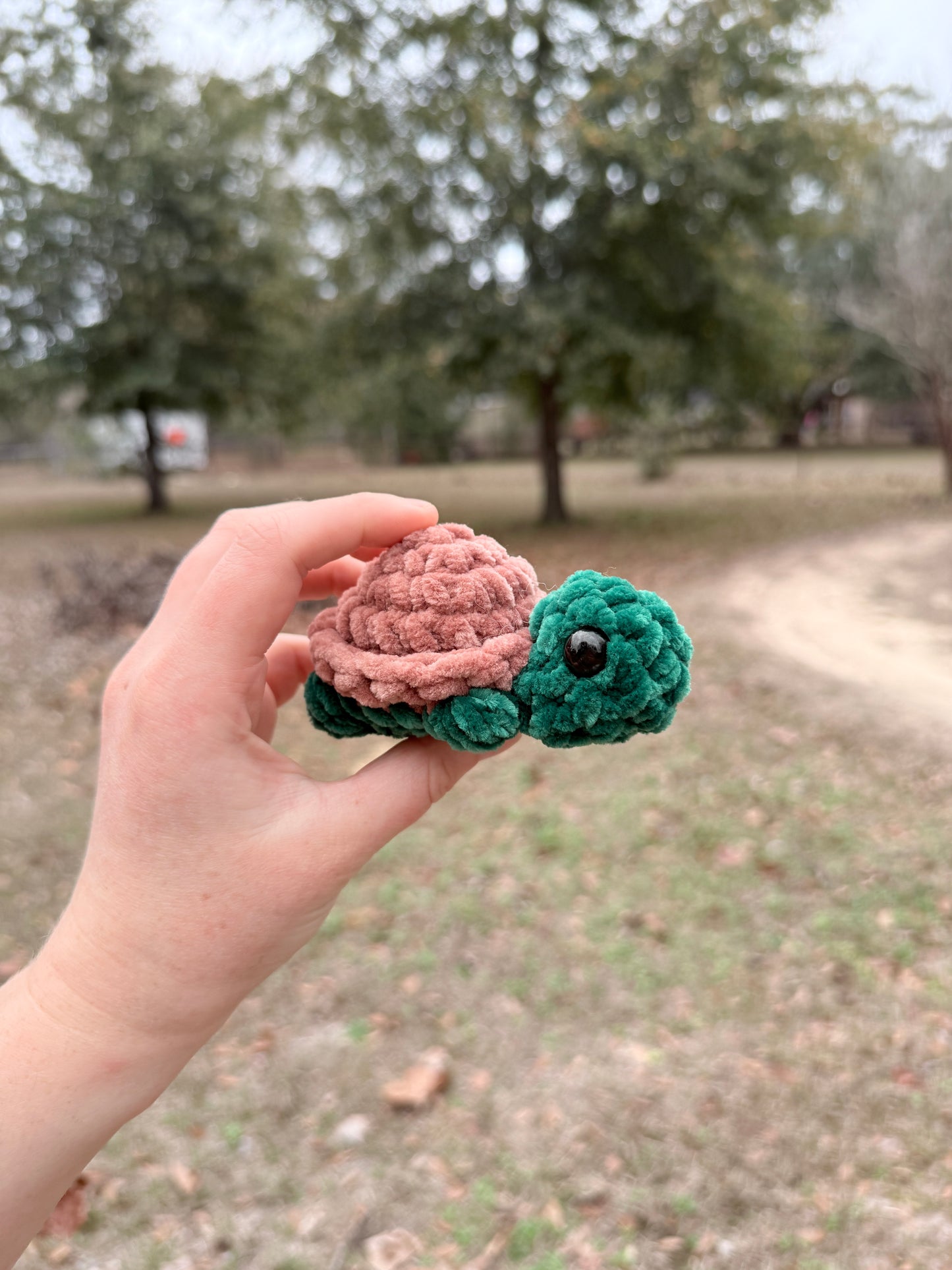 Mini Turtle