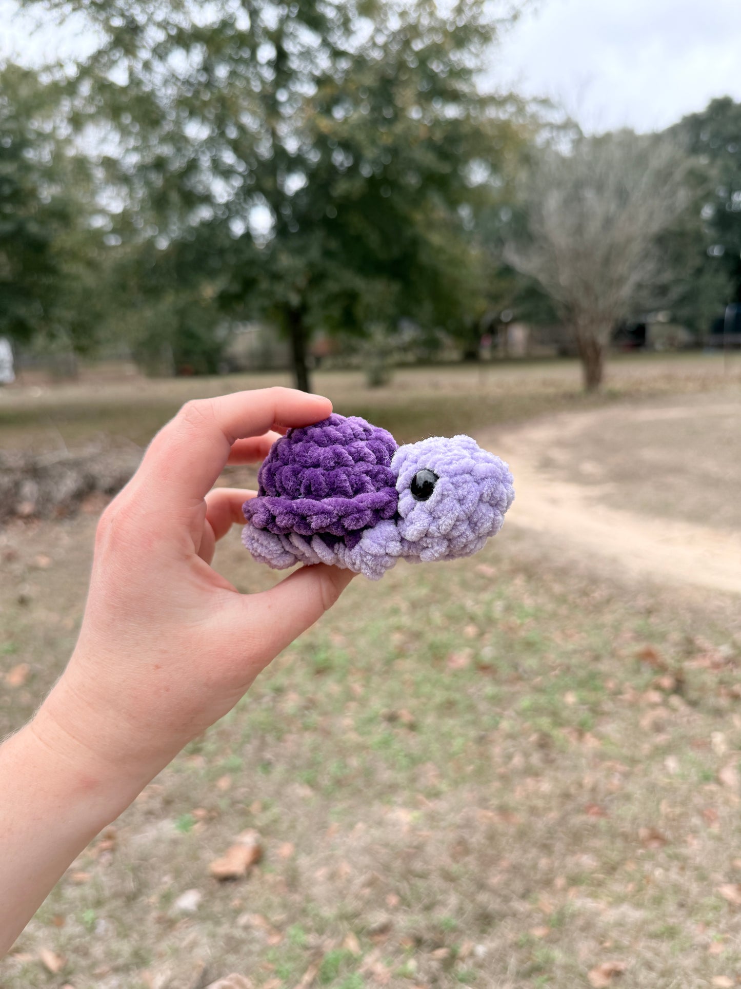 Mini Turtle