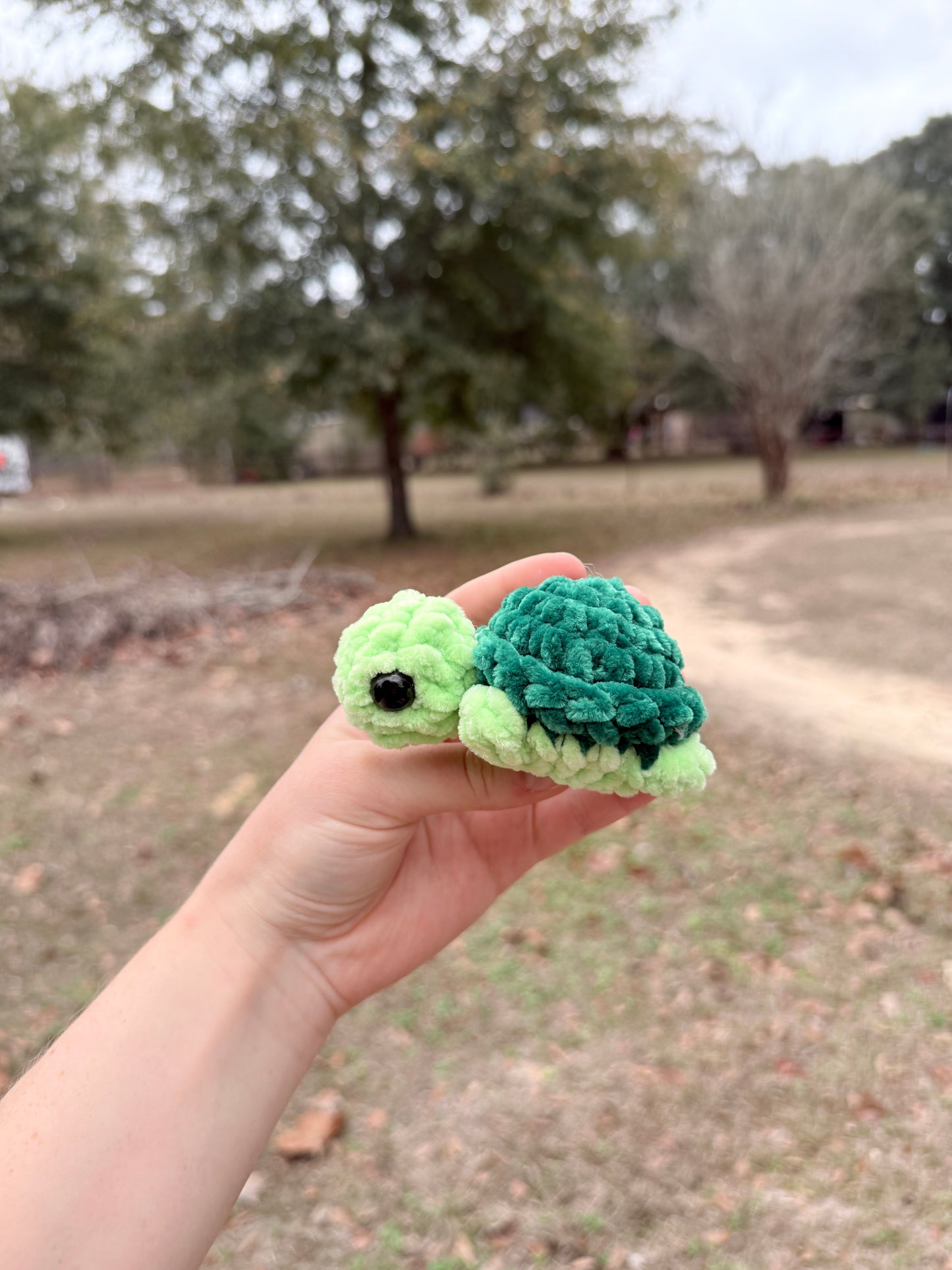 Mini Turtle