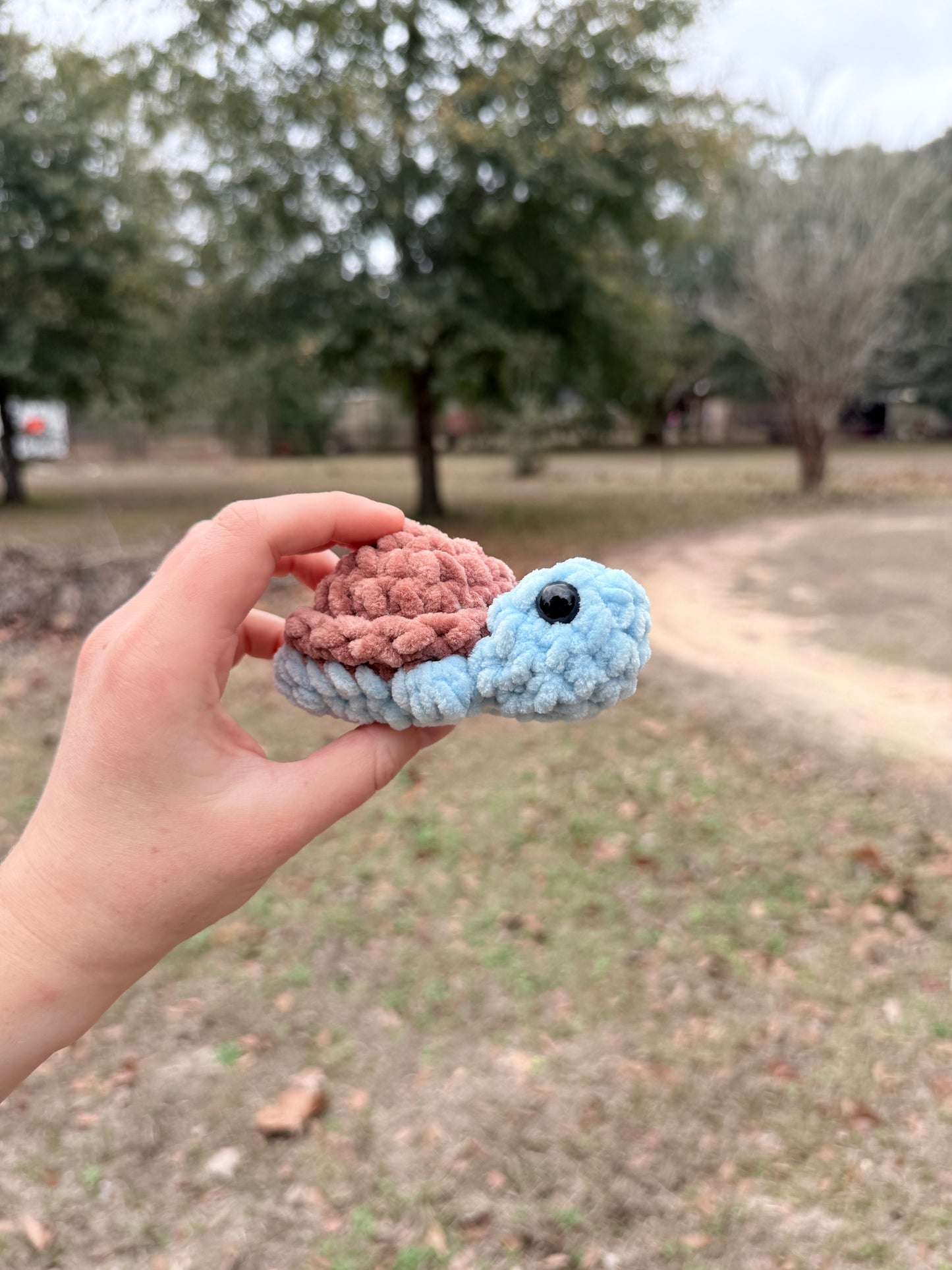 Mini Turtle
