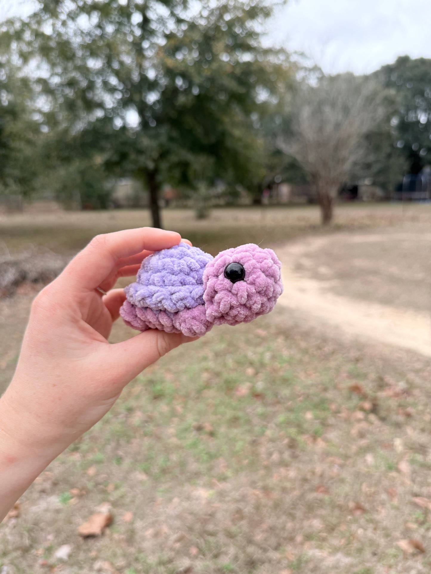 Mini Turtle