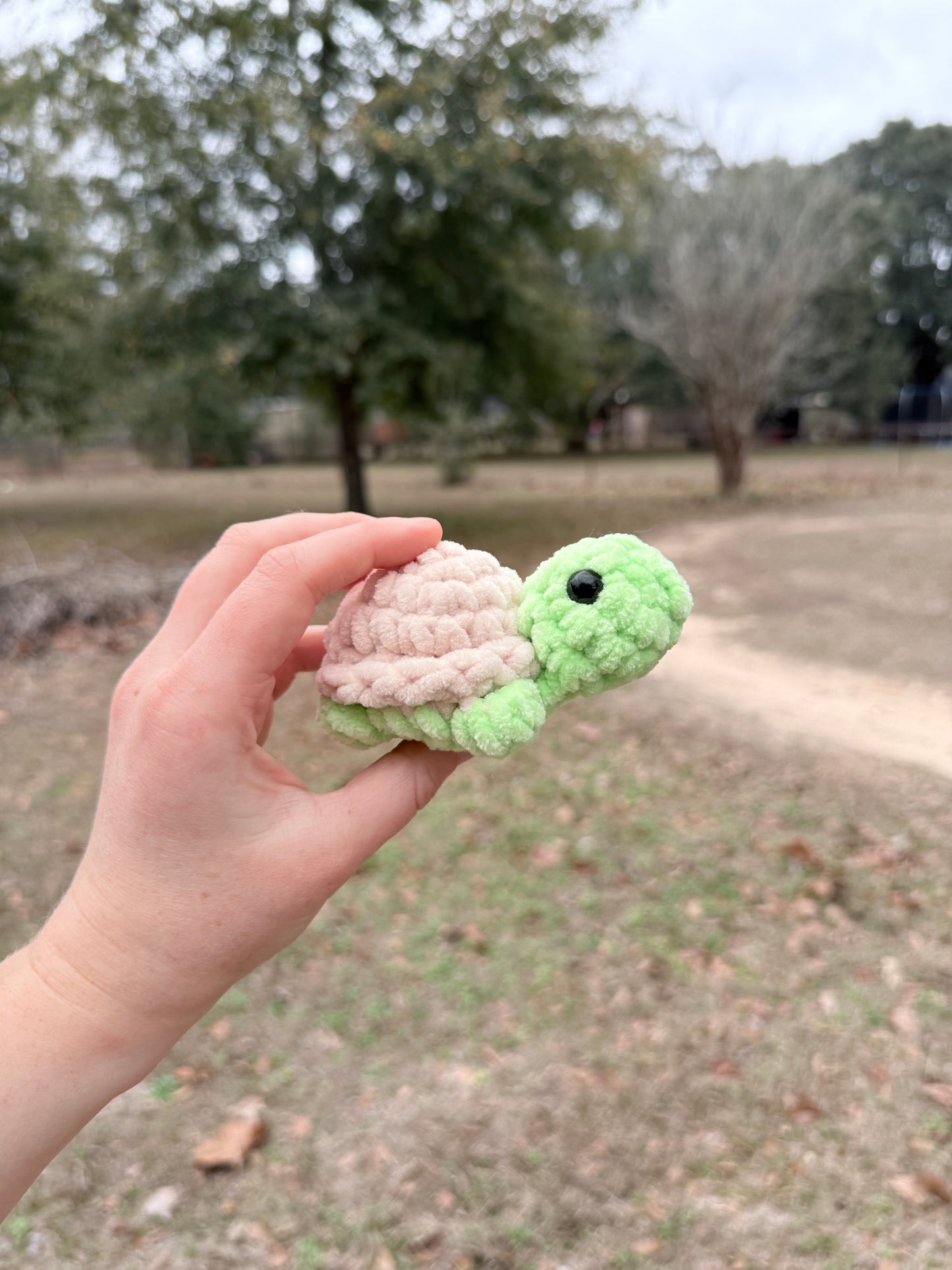 Mini Turtle