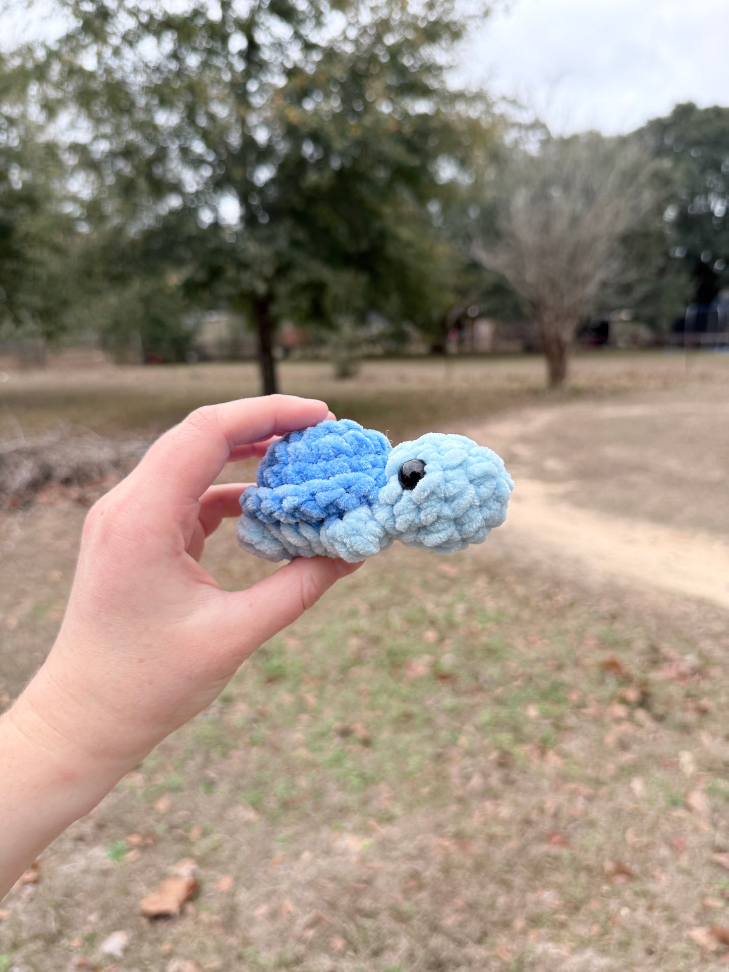 Mini Turtle