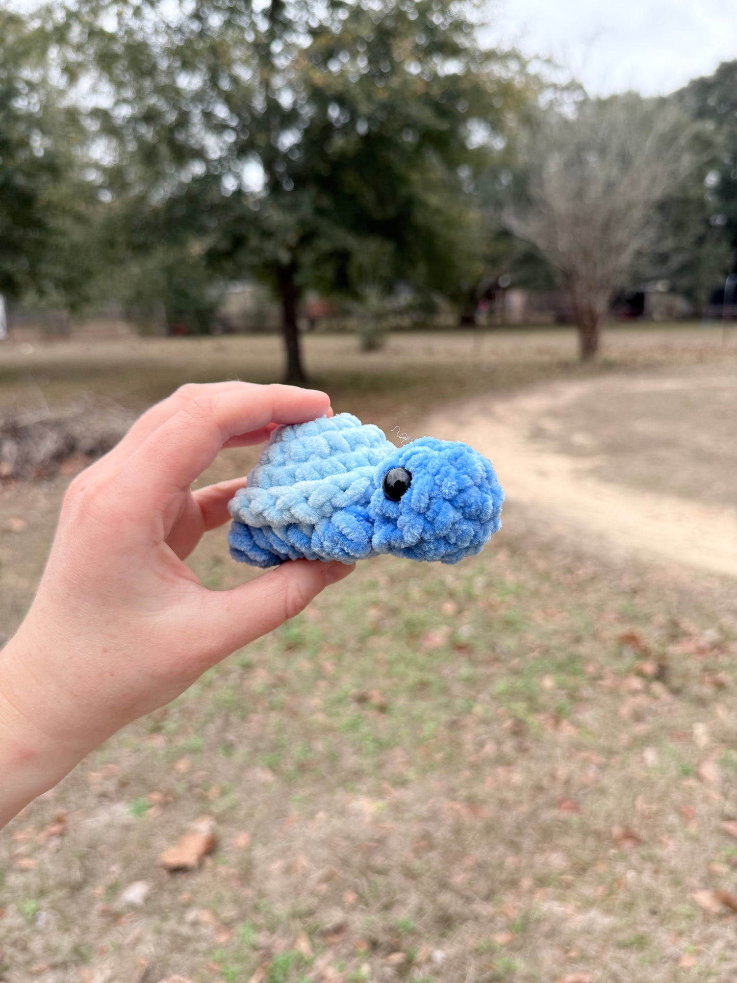Mini Turtle
