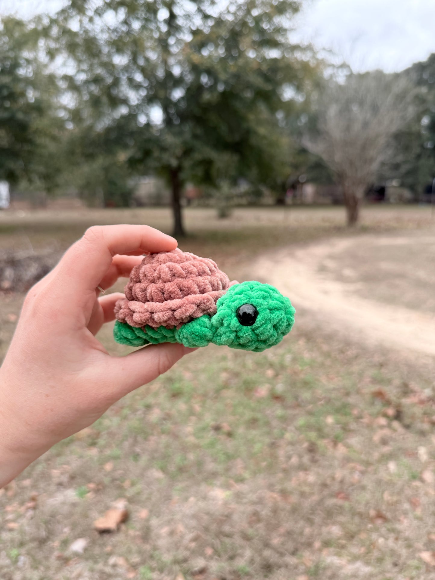 Mini Turtle