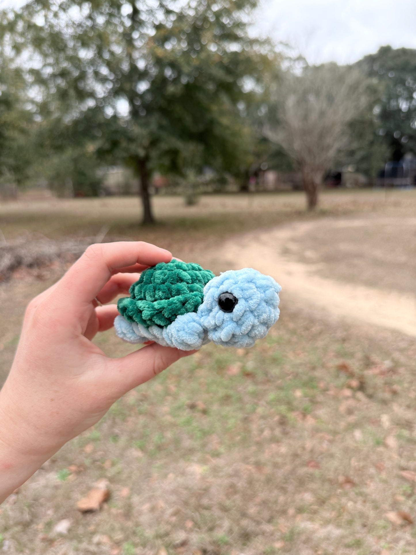 Mini Turtle