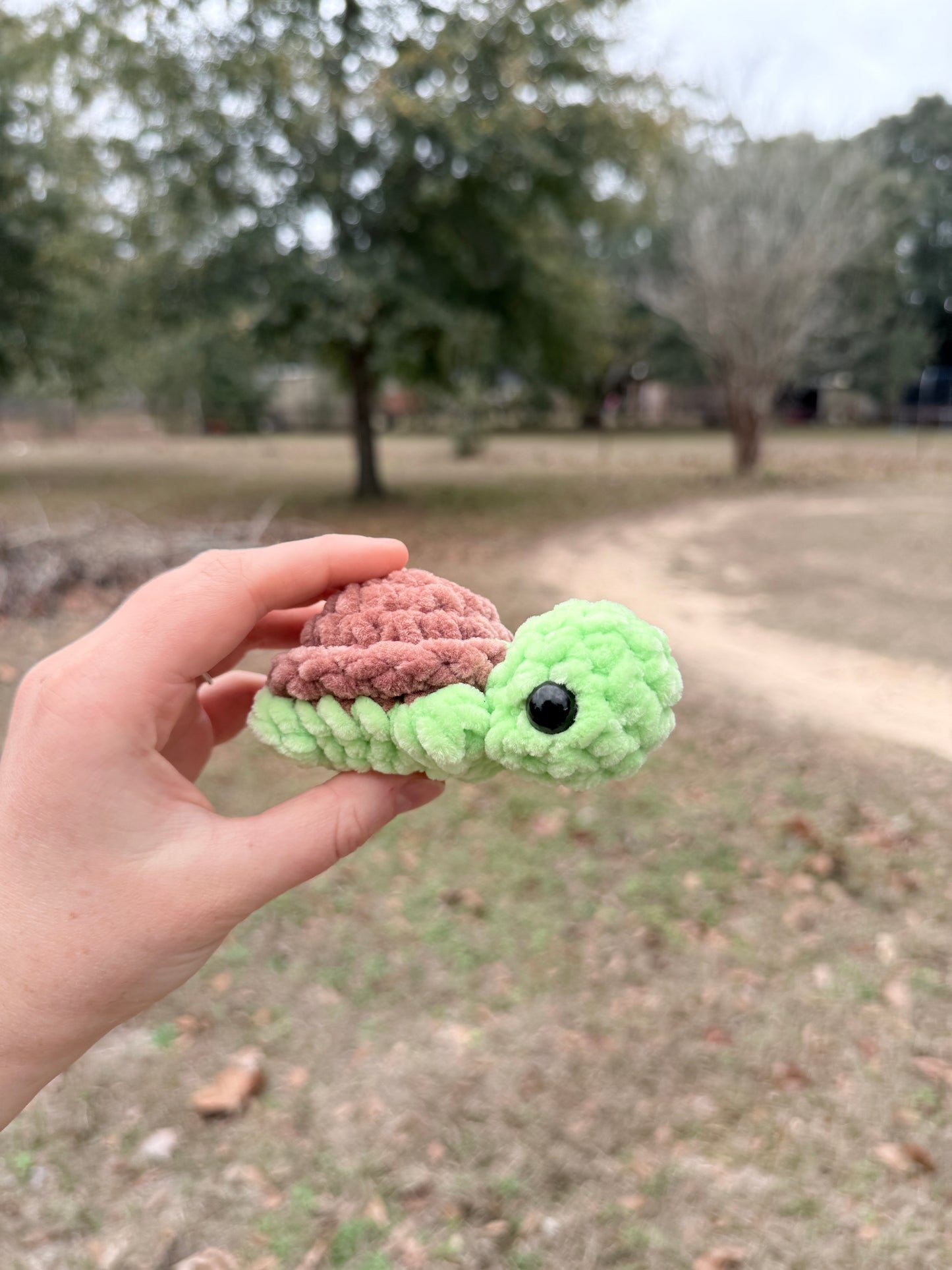 Mini Turtle