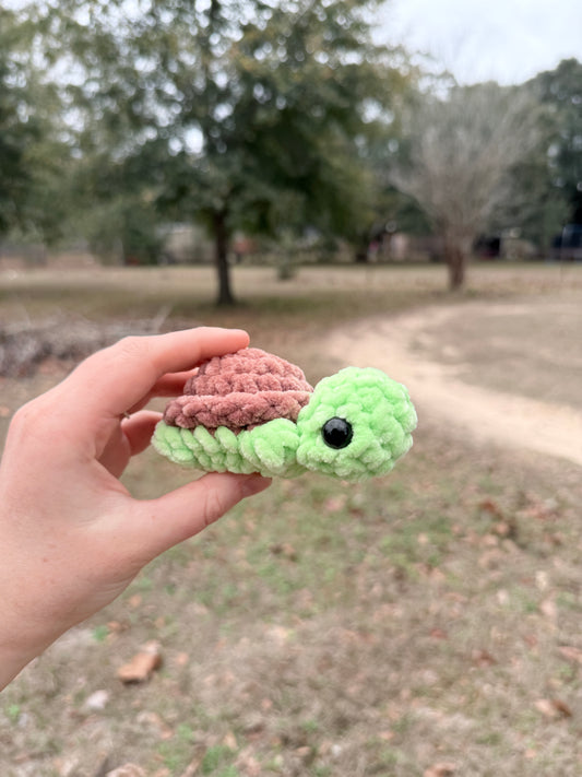 Mini Turtle