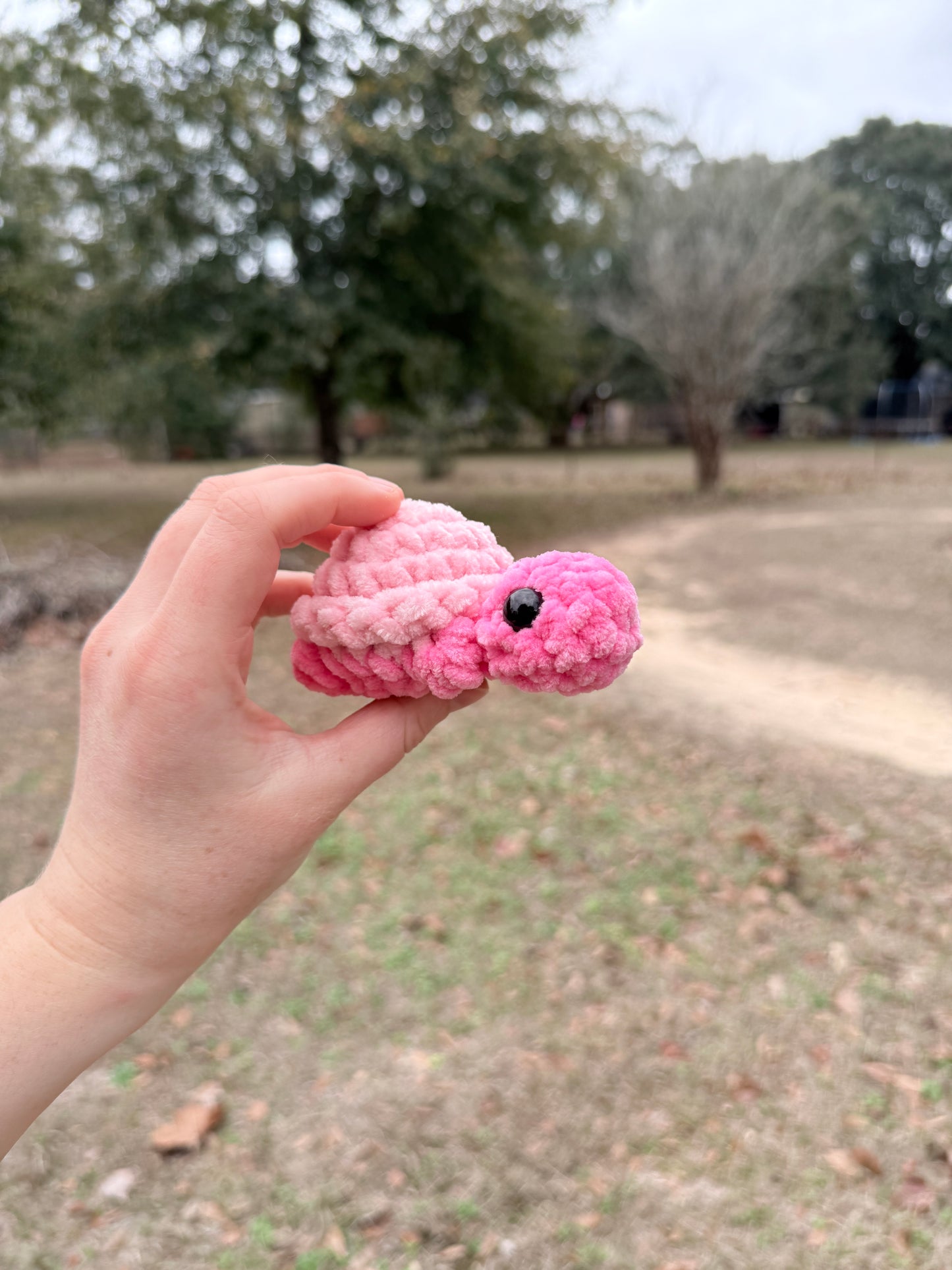 Mini Turtle