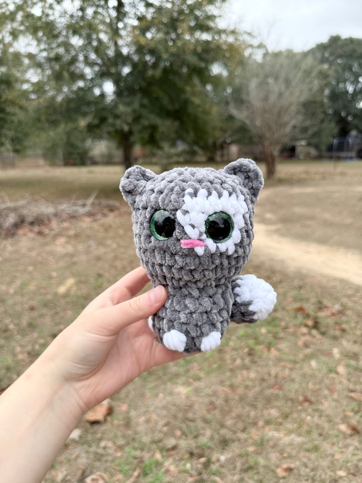 Kitten