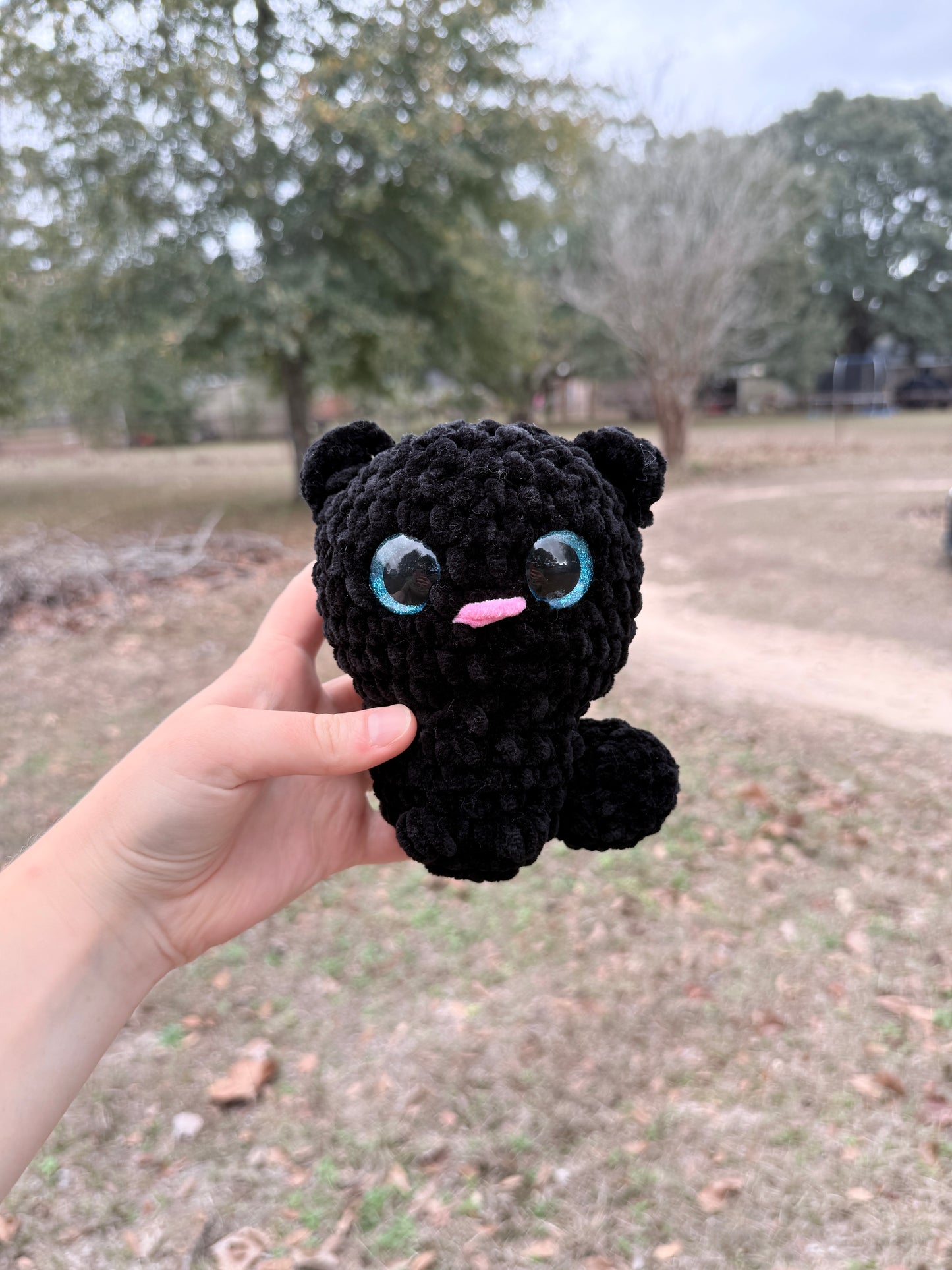 Kitten