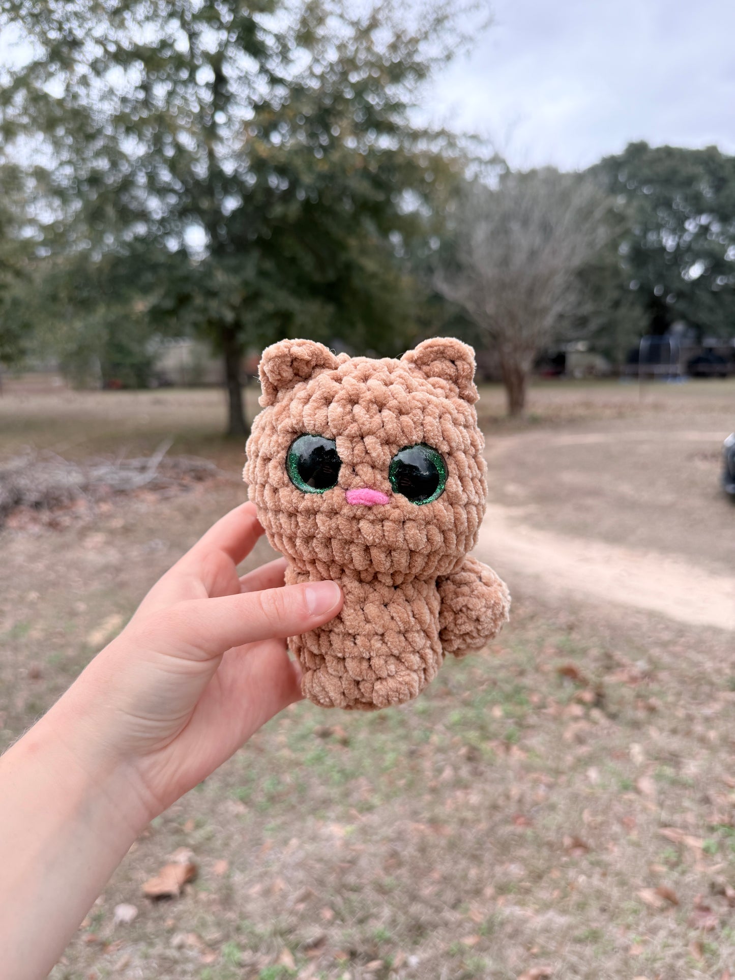 Kitten