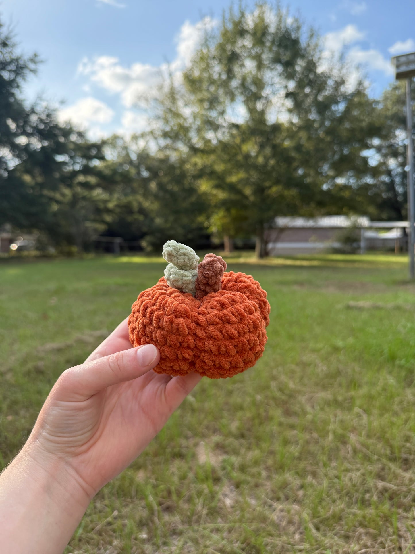Plush Pumpkin