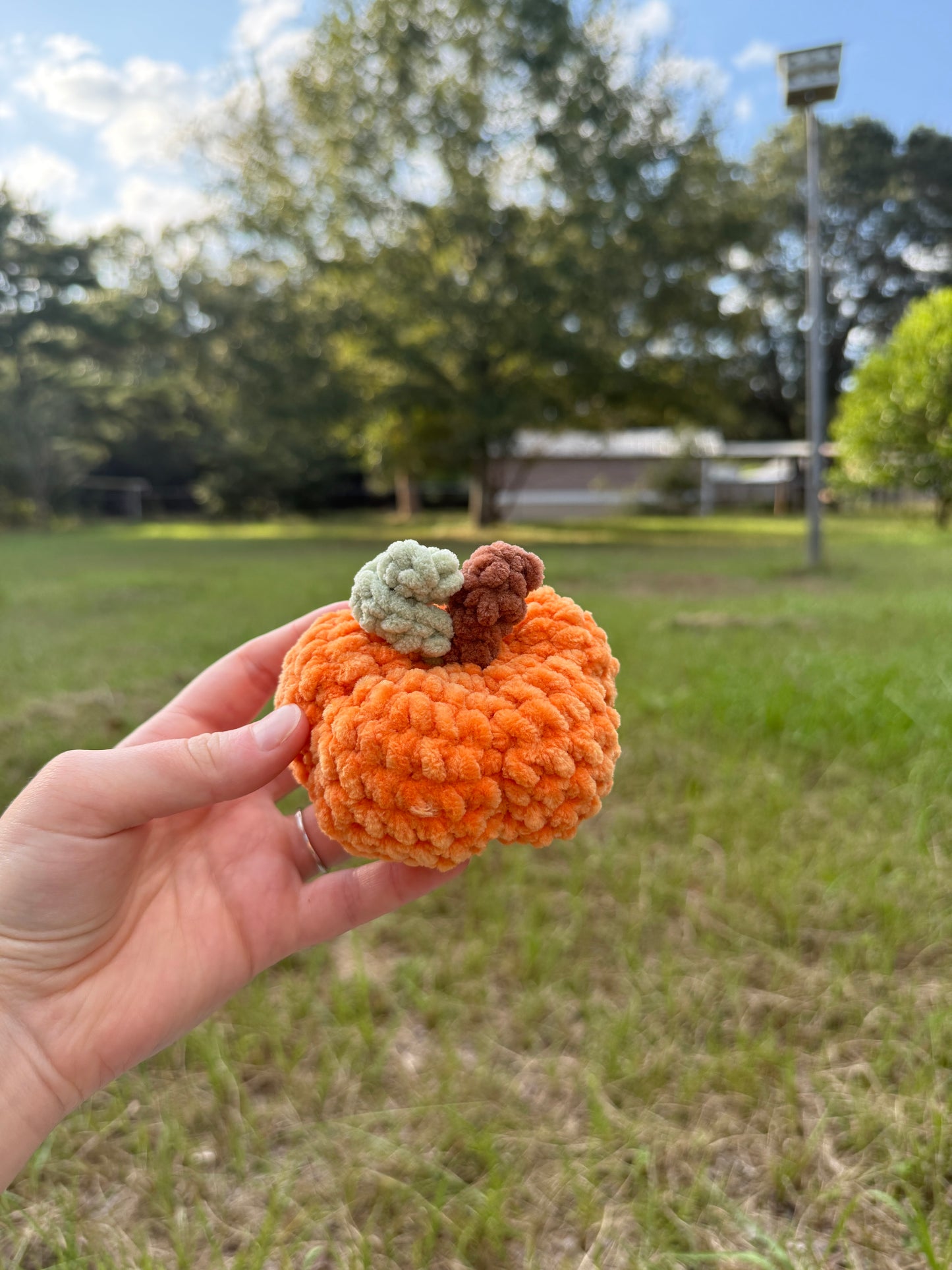 Plush Pumpkin