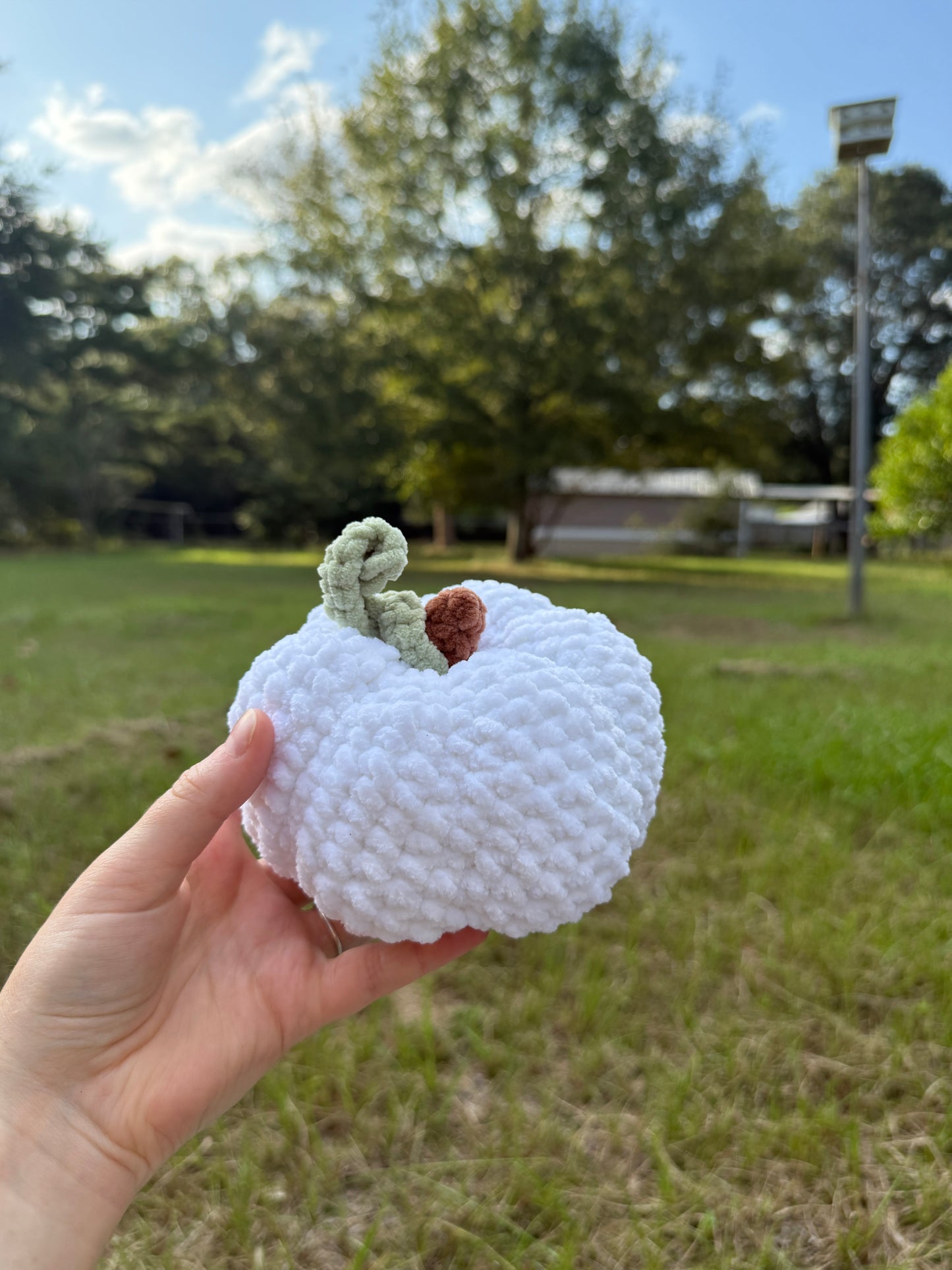 Plush Pumpkin