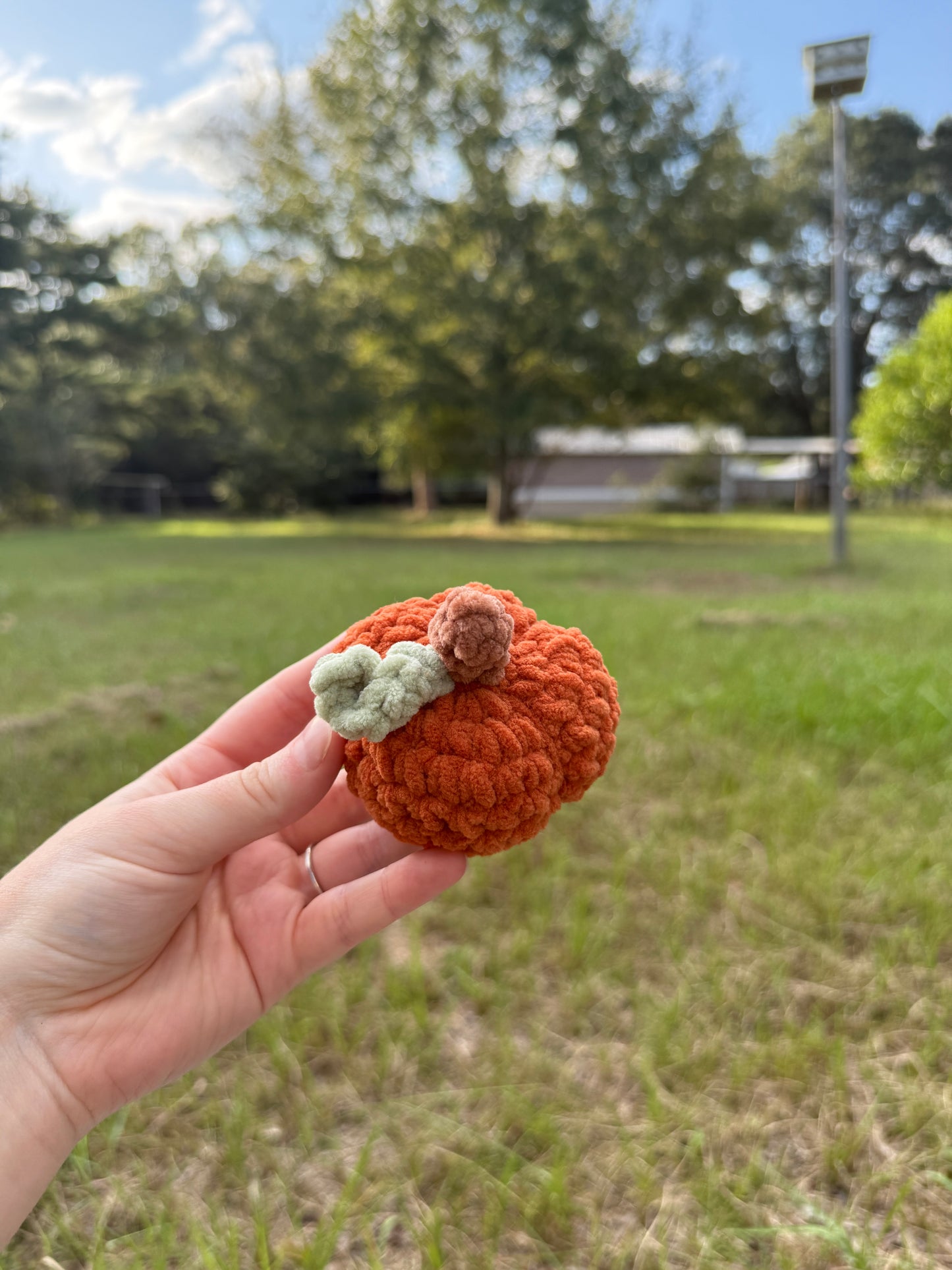Plush Pumpkin