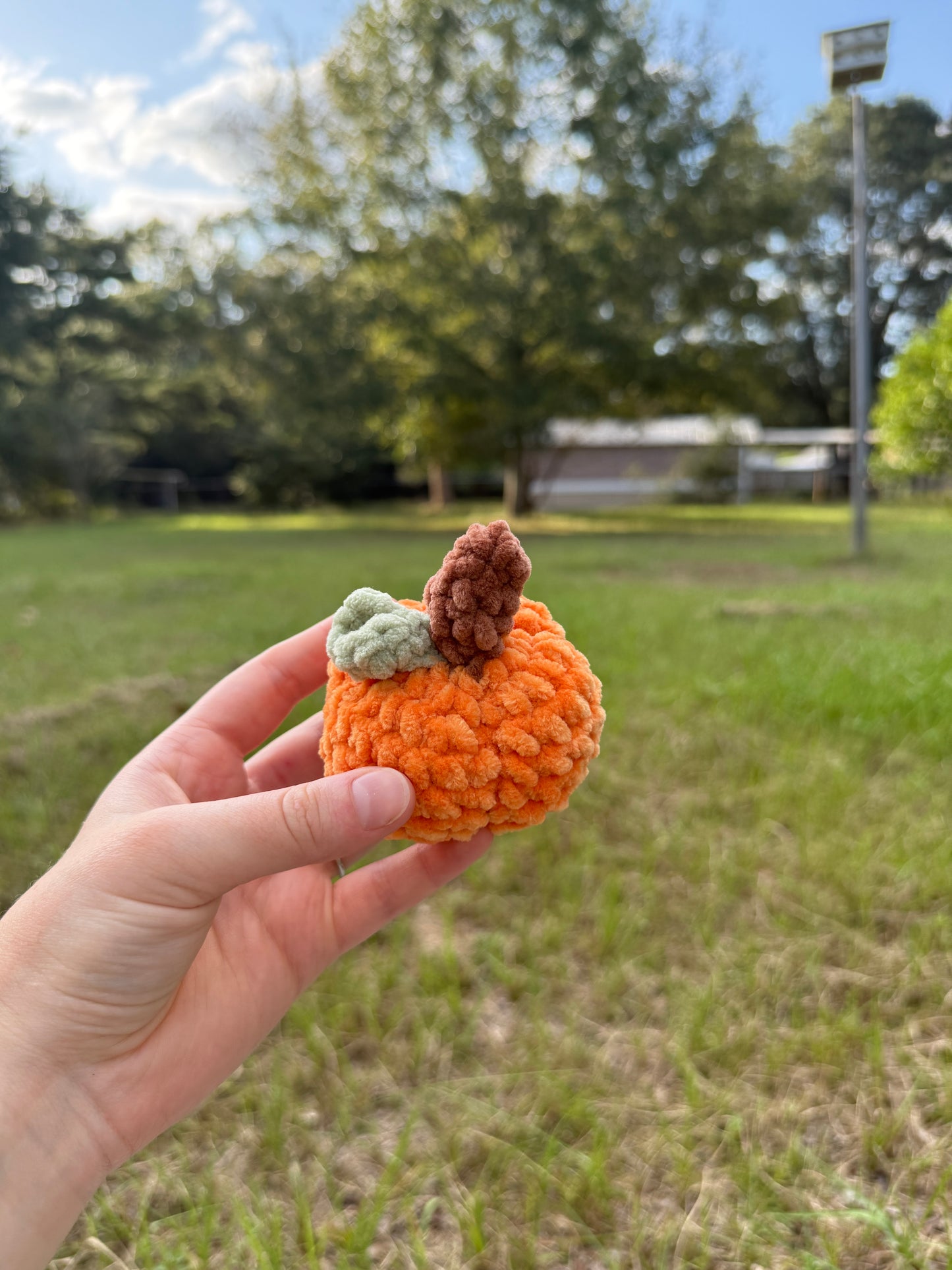 Plush Pumpkin