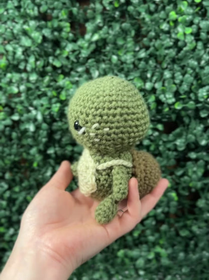 Tiny Traveling Turtle
