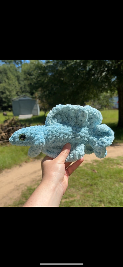 Betta Fish